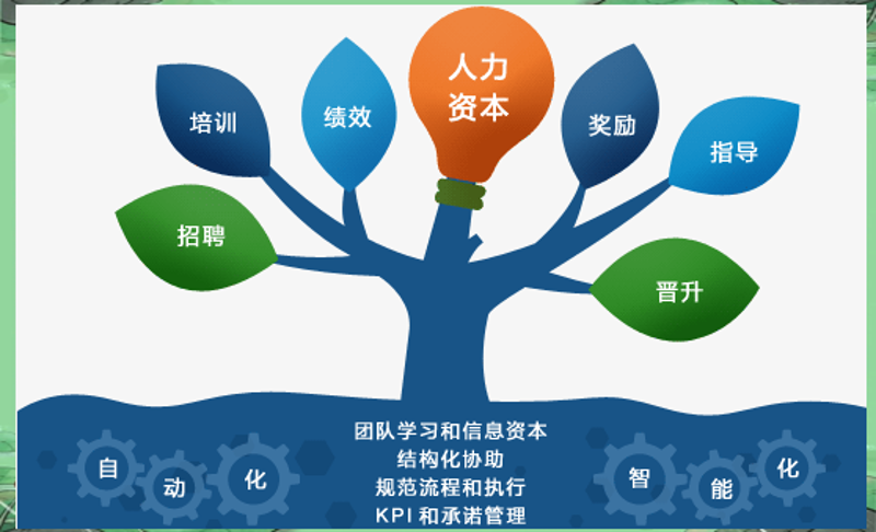 战略规划师：企业未来发展的引领者